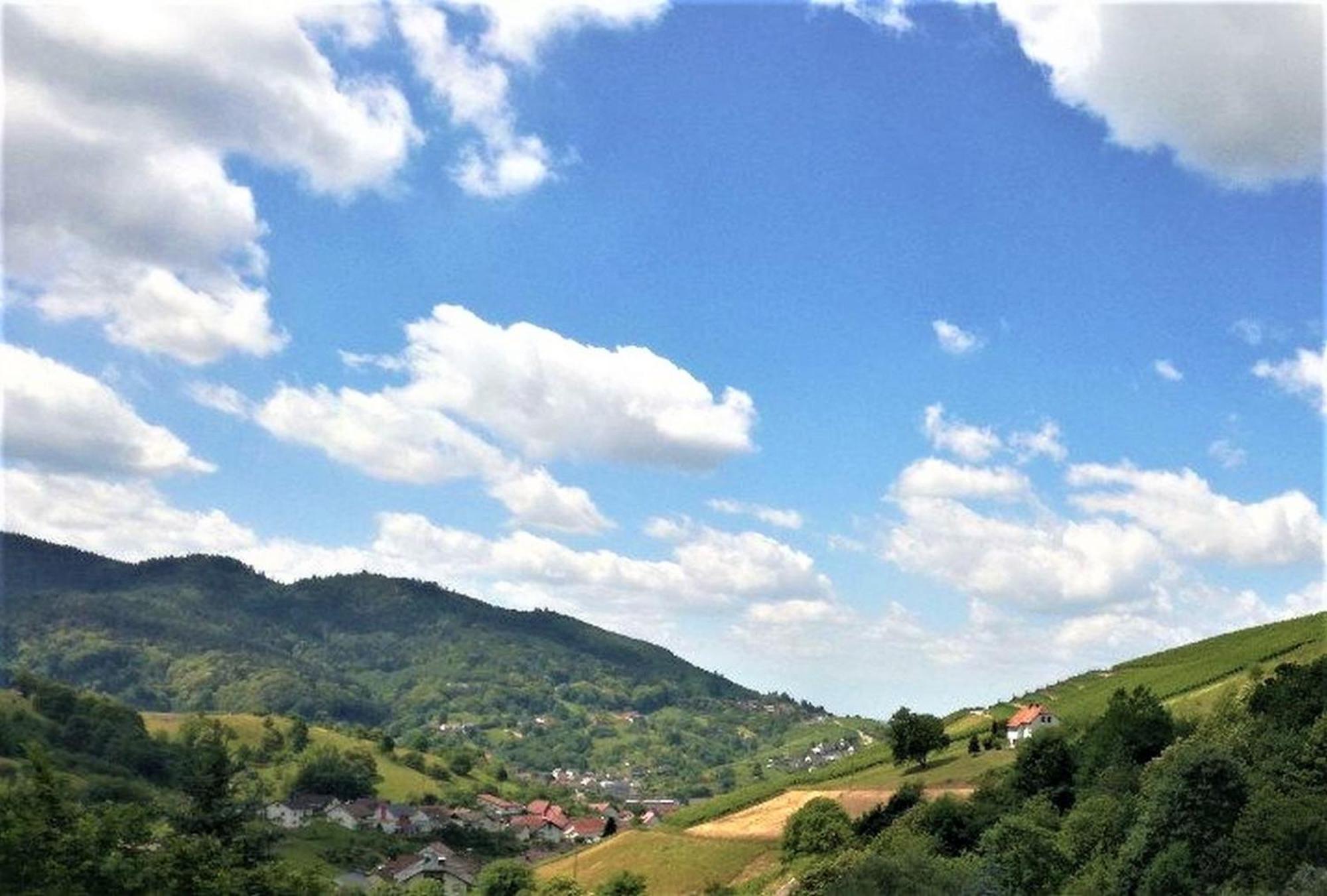 Ferienwohnung Wintereck Bühlertal Exterior foto